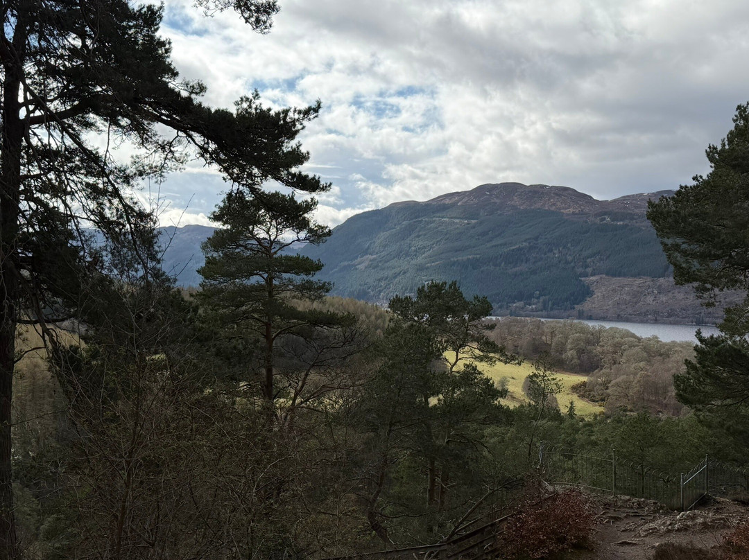 佛雅尔斯酒店主图