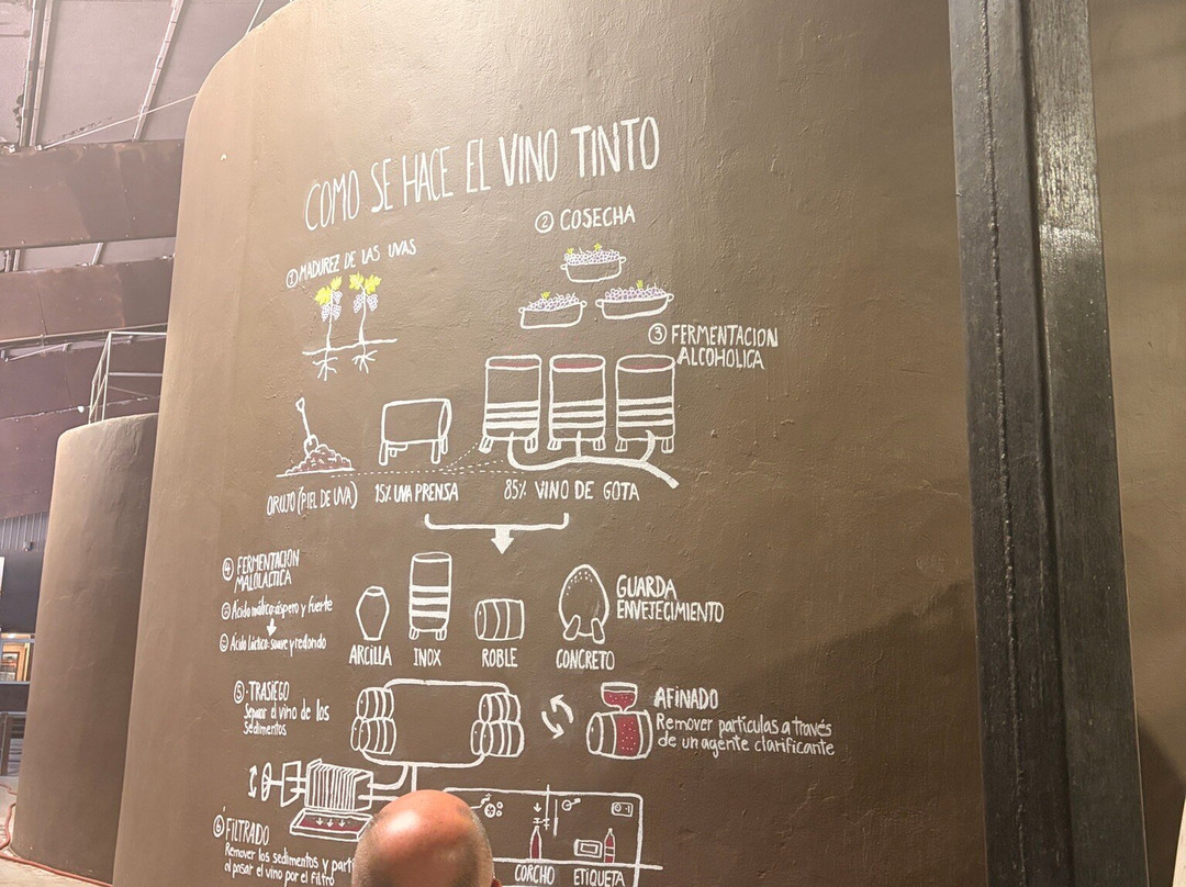 Viu Manent-圣克鲁斯必去景点