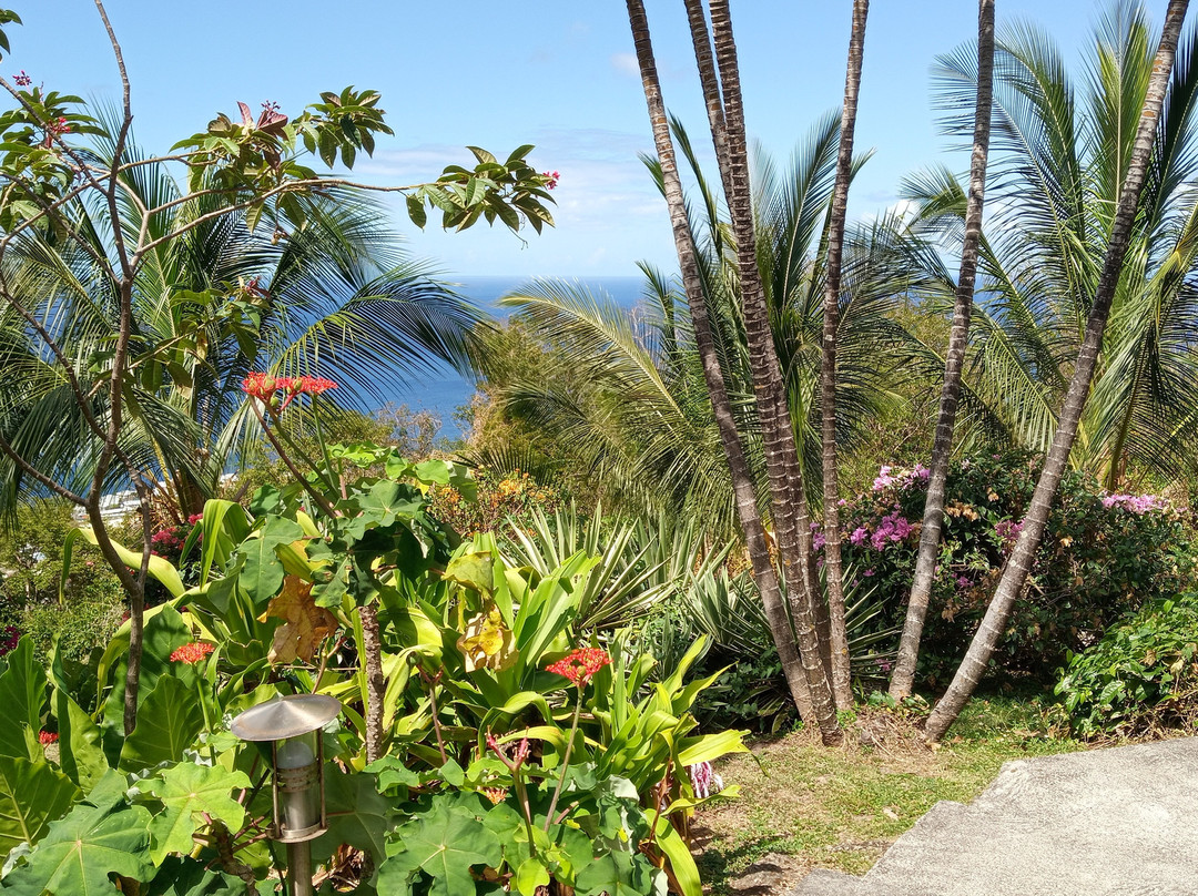 Villa Rose Caraibes主图