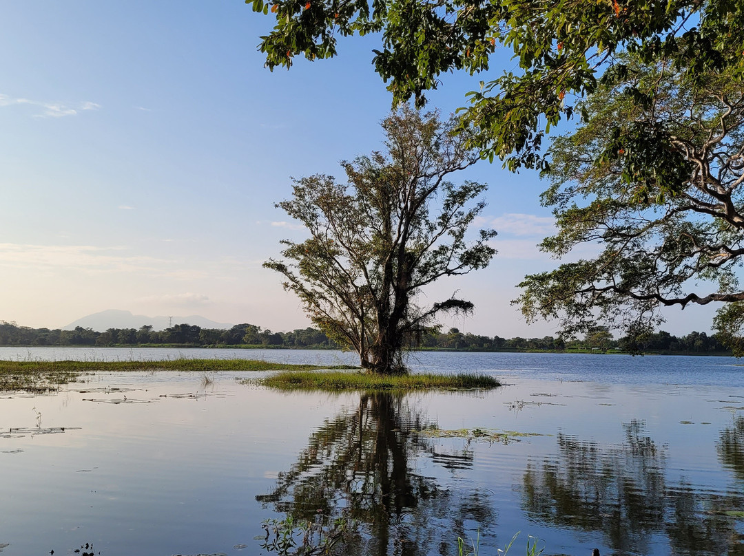 辛纳蒙哈伯拉纳山林酒店主图