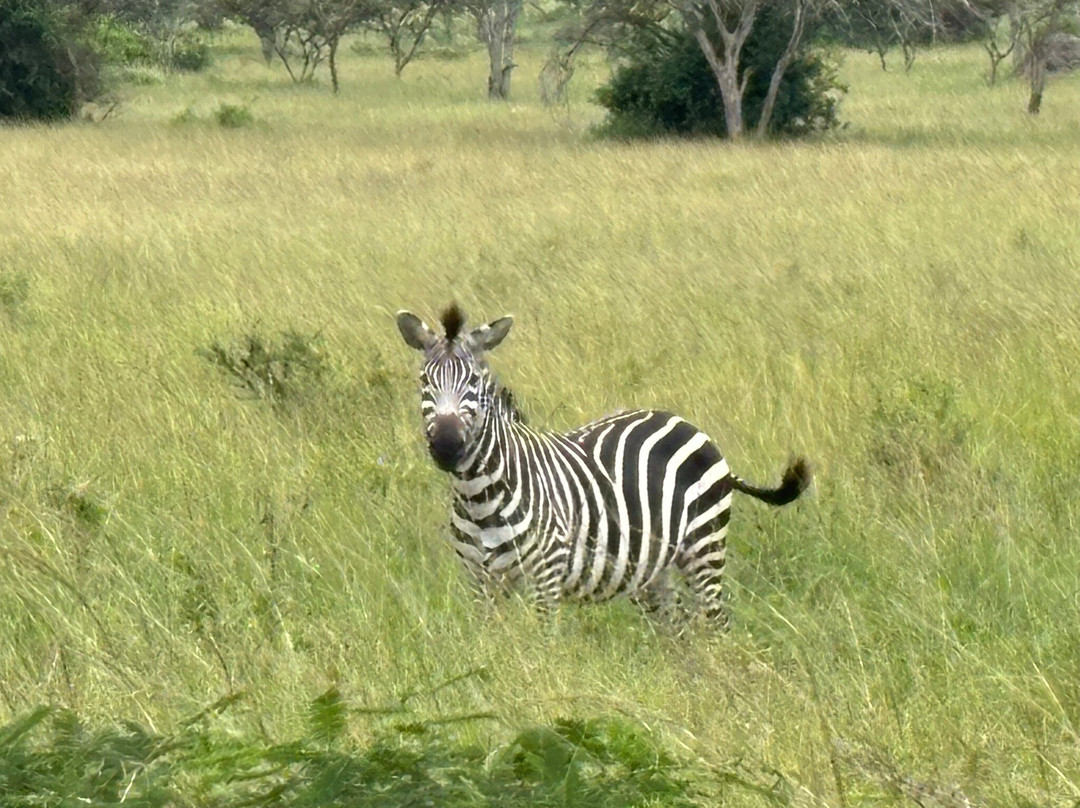 Signature African Safaris-坎帕拉必去景点