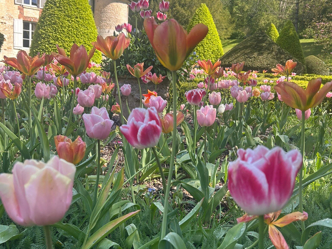 Boutemont castle and gardens-Ouilly-le-Vicomte必去景点