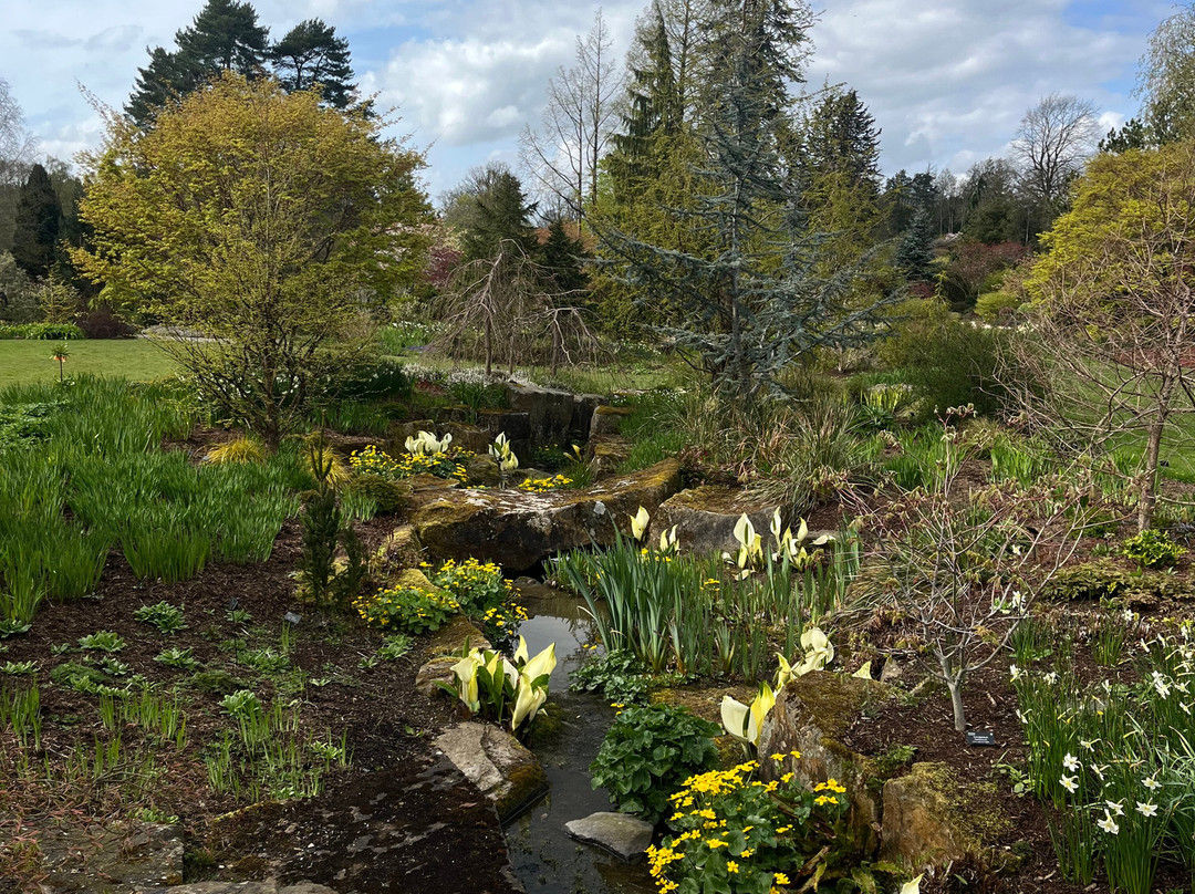 RHS Garden Harlow Carr-哈罗盖特必去景点