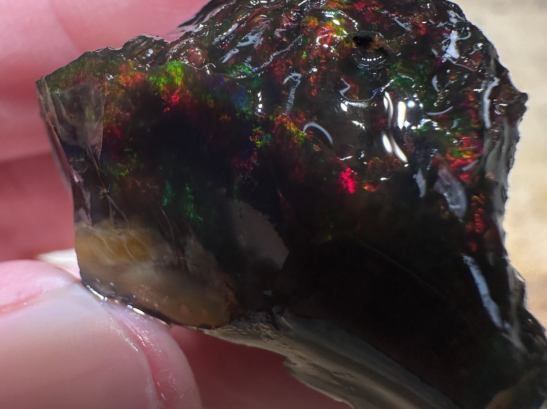 Rainbow Ridge Opal Mine-Denio必去景点