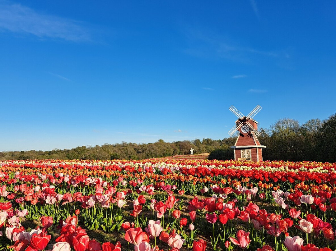 Tulleys-Turners Hill必去景点