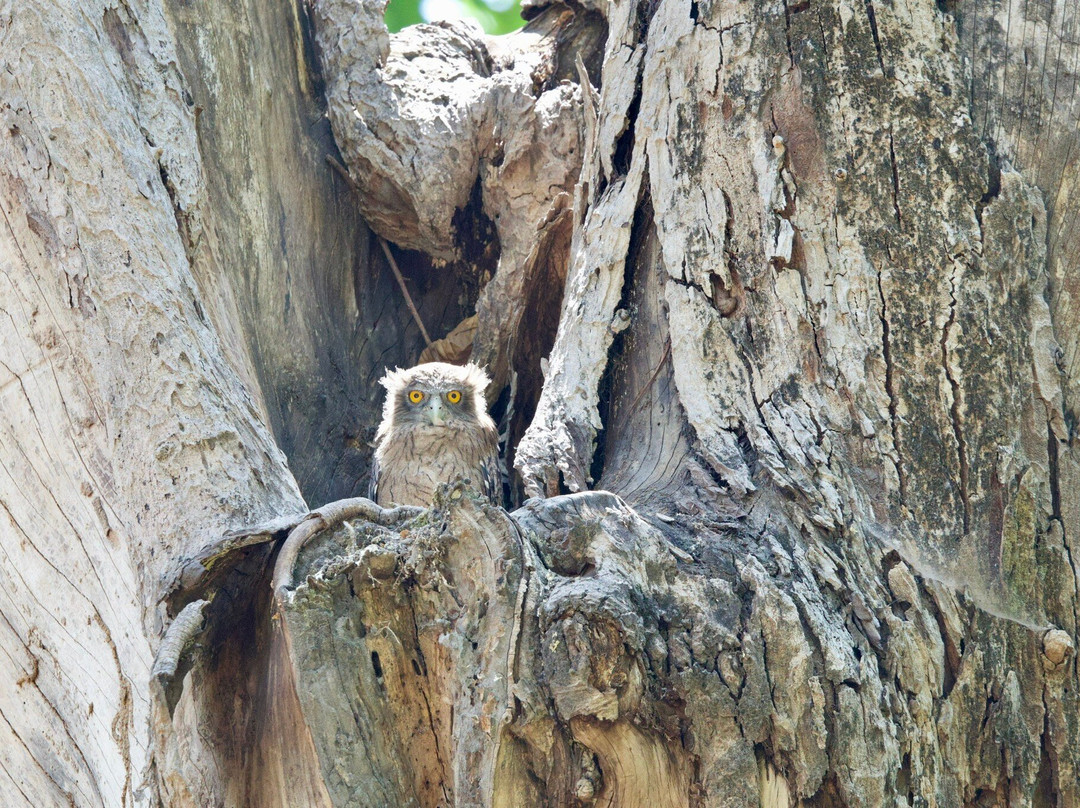 Bandhavgarh National Park-Bandhavgarh National Park必去景点