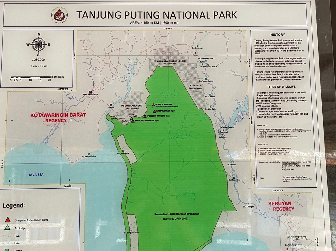 Orangutan Houseboat Tour-Kumai必去景点