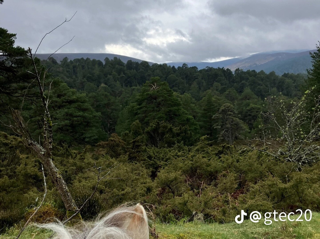 Derbyshire Pony Trekking-Mansfield必去景点
