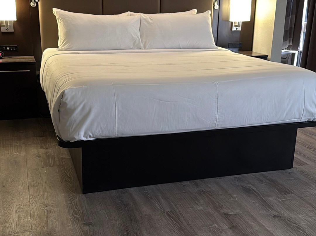 Radisson Hotel St Louis Downtown Convention Center主图