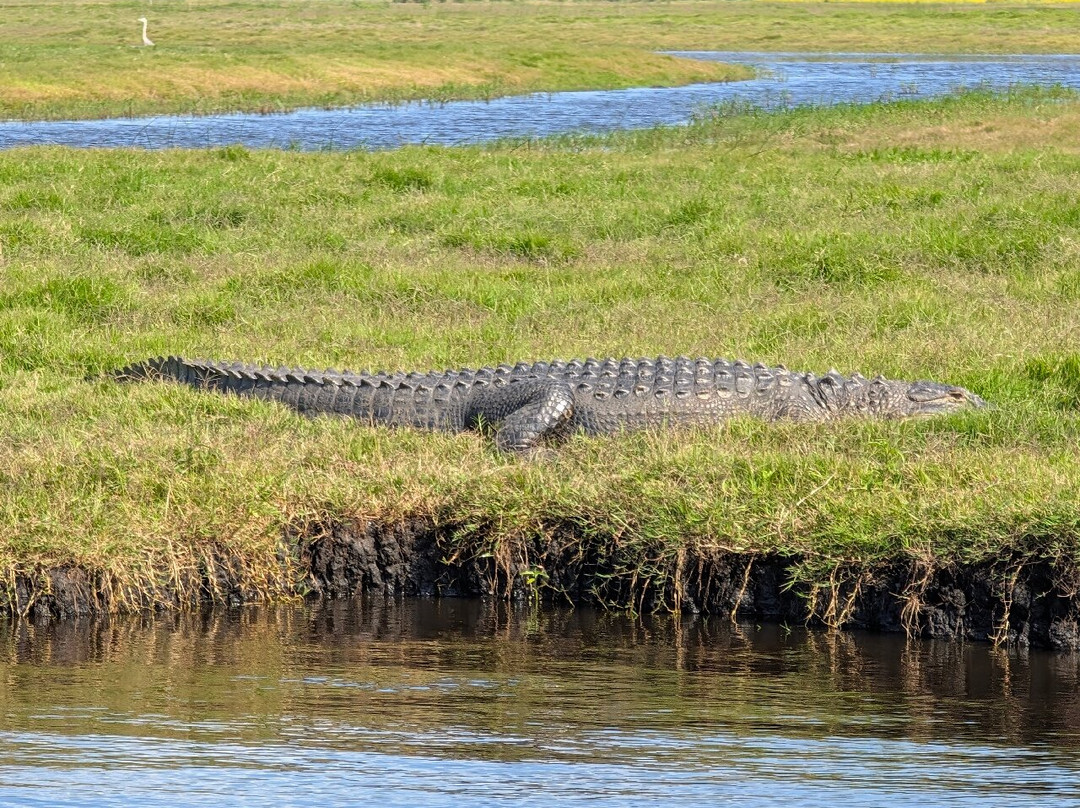 AirBoat Rides at Midway-Christmas必去景点