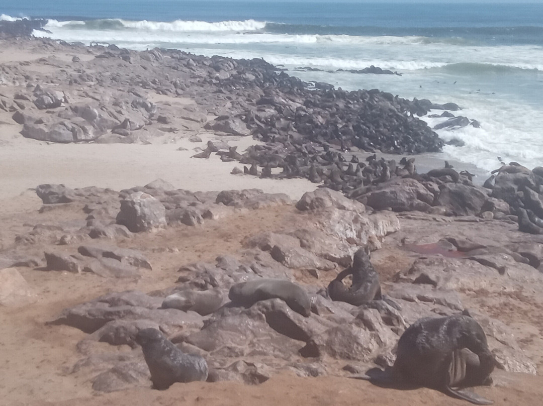 Cape Cross-Erongo Region必去景点