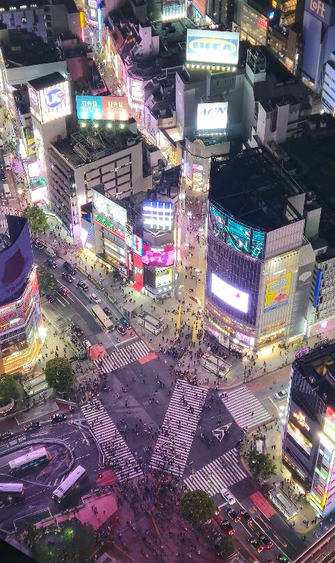 Shibuya Sky-涩谷区必去景点