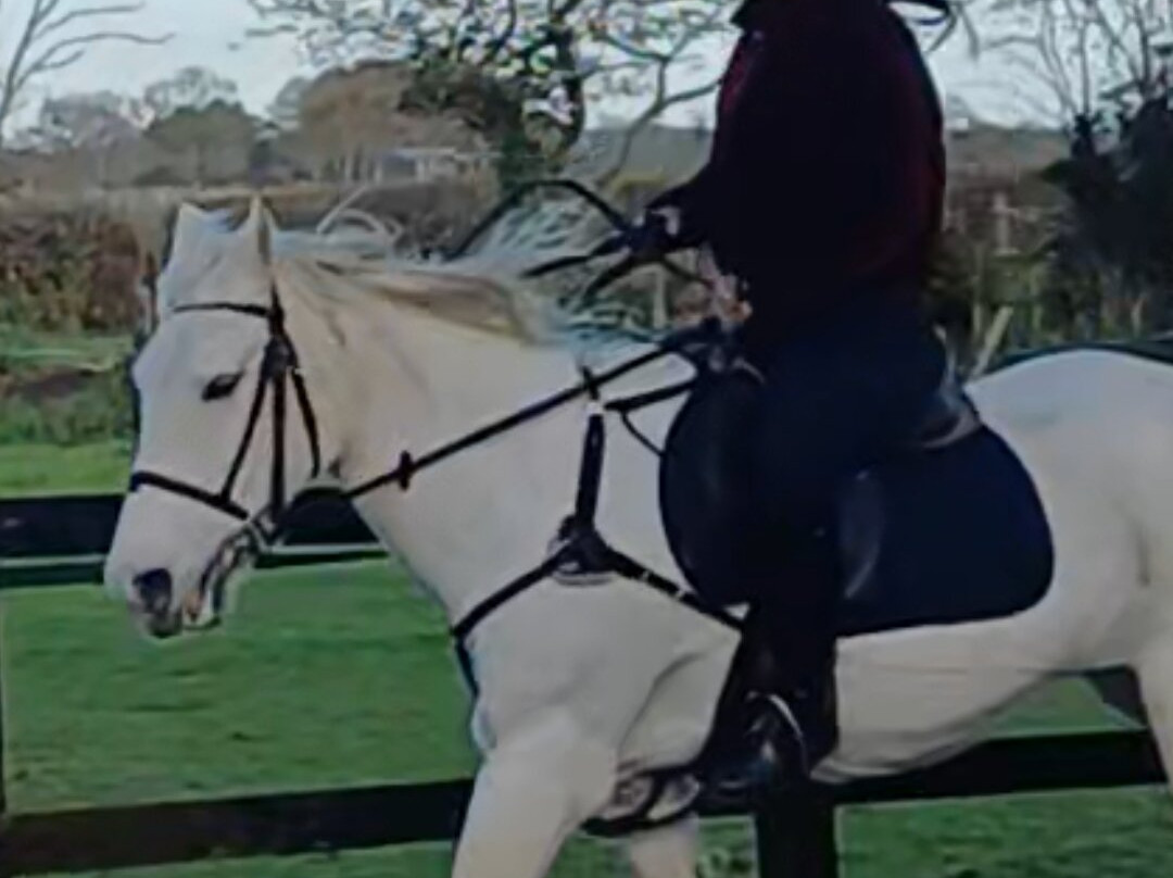 Coombe Stables-Sway必去景点