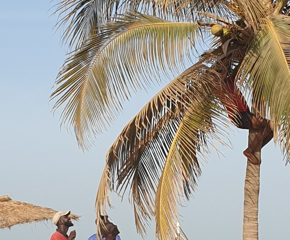 Sunbeach Hotel and Resort主图