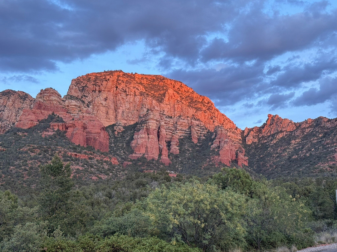 Arizona Safari Jeep Tours-塞多纳必去景点