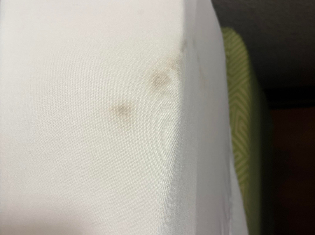 Des Allemands酒店住宿-Motel 6 Luling, LA