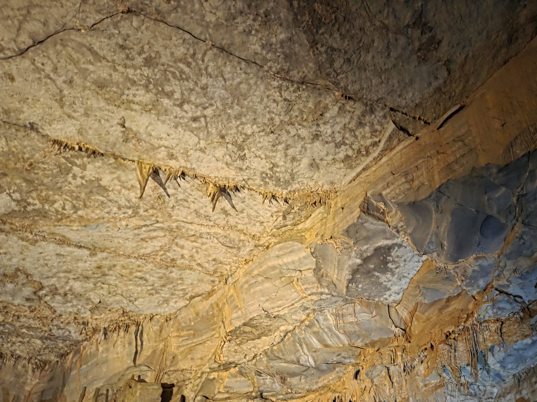 Cathedral Caverns State Park-Woodville必去景点