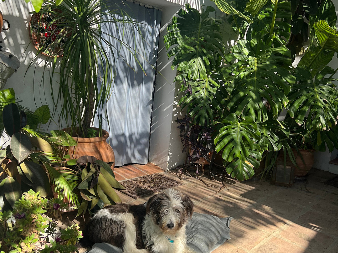 Gourmet B&B Finca Las Encinas主图