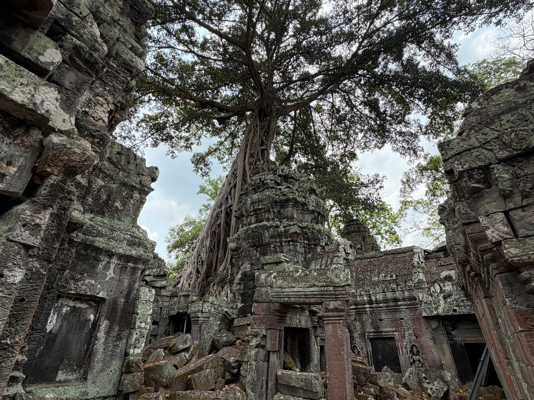 Jimmy  Private Angkor Guide & Driver-暹粒必去景点