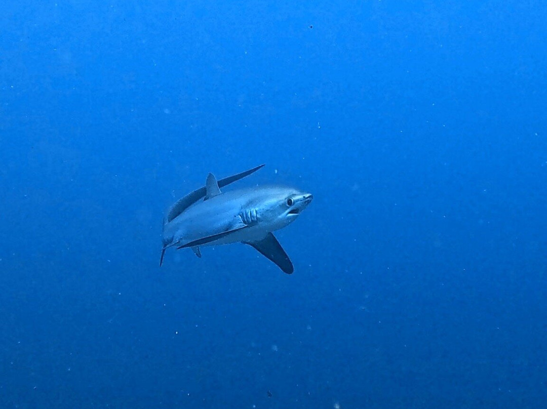 Mbi Divecenter-妈妈拍丝瓜岛必去景点