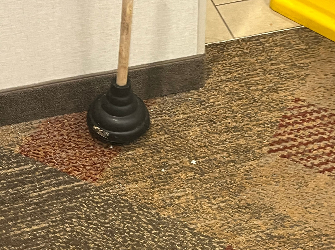 明翰湖滨大道德鲁里套房酒店主图