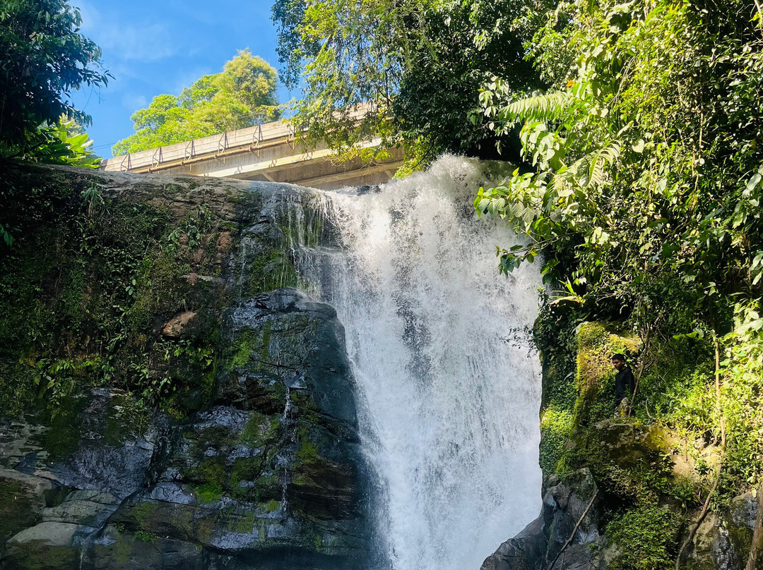 Jungle Man Costa Rica-旧港必去景点