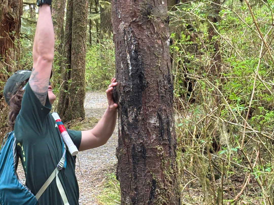 Alaska Rainforest Sanctuary-凯奇坎必去景点