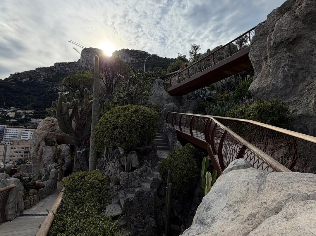 Jardin Exotique de Monaco-摩纳哥城必去景点