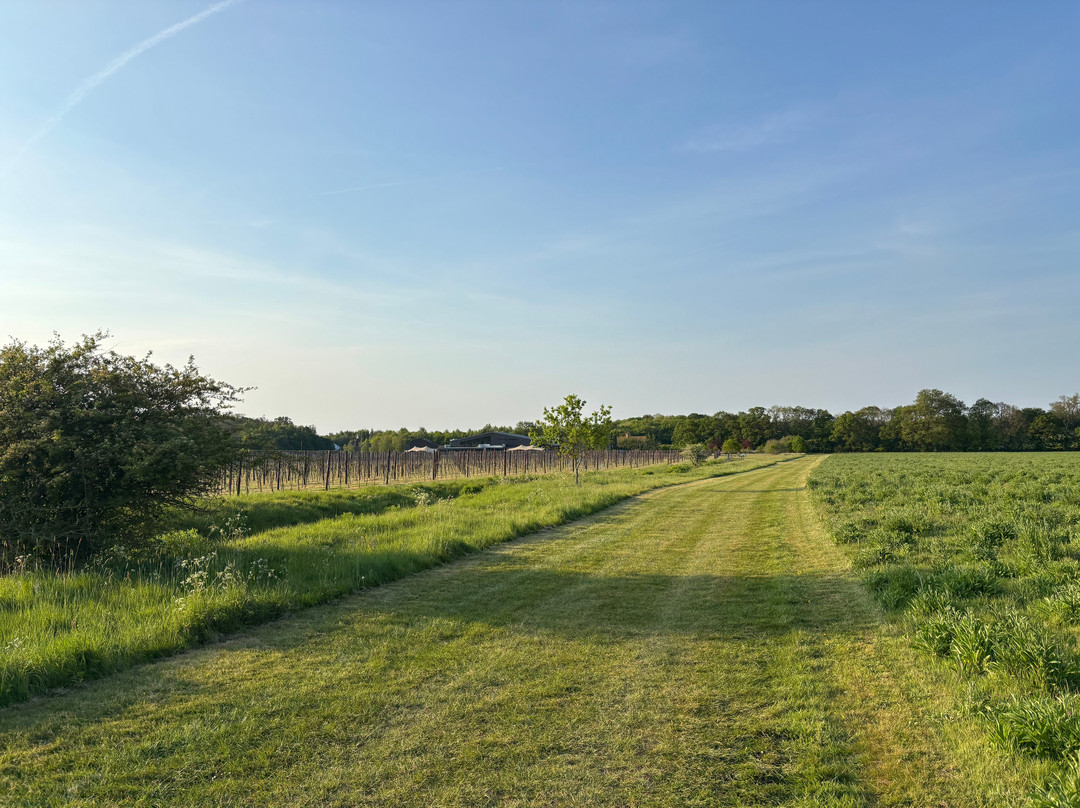 Balfour Winery-Staplehurst必去景点