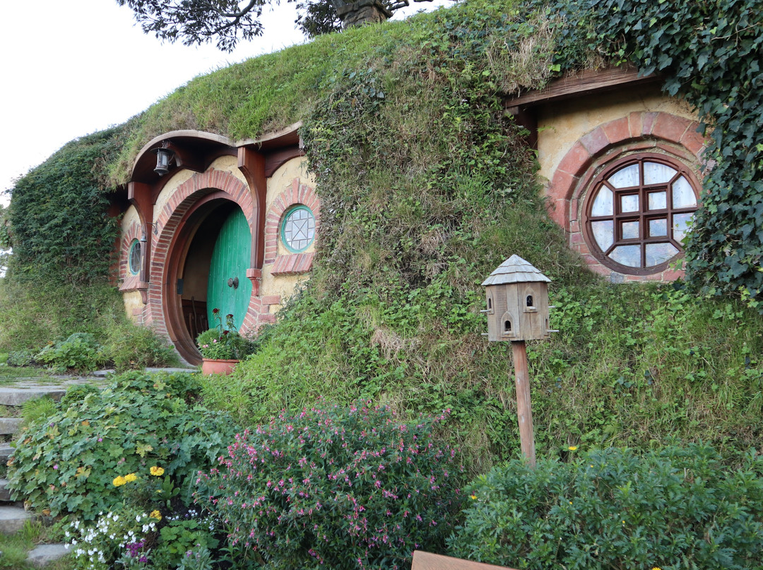 Hobbiton Movie Set-玛塔玛塔必去景点