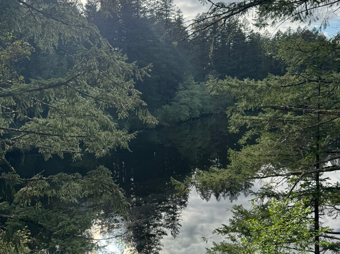 Thetis Lake Regional Park-View Royal必去景点