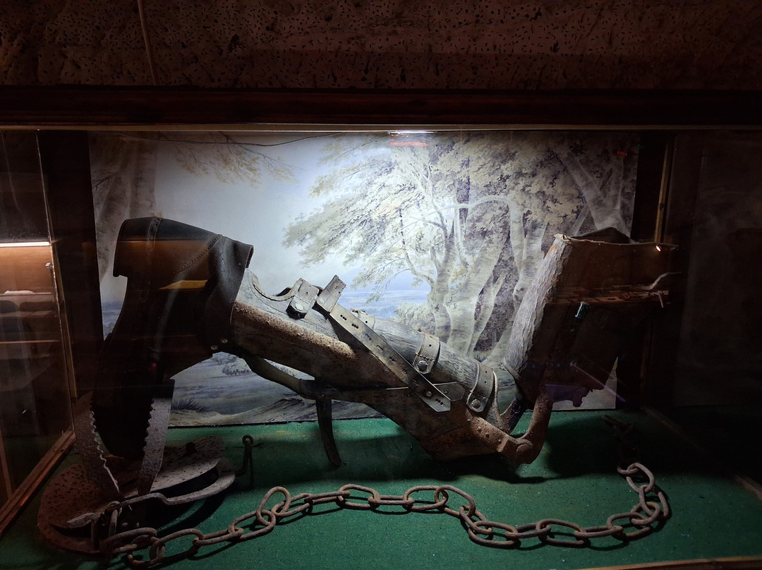 The True CRIME Museum-海斯廷斯必去景点
