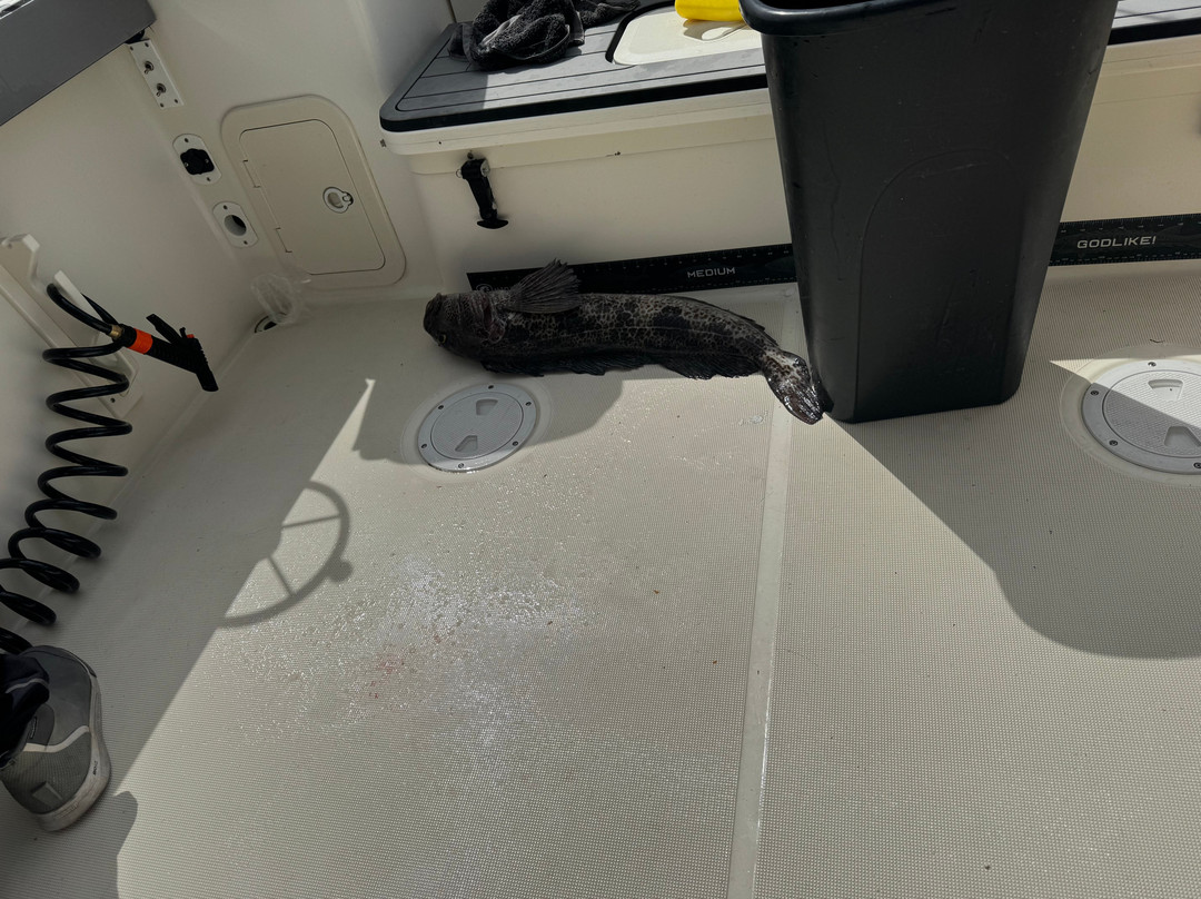 Island Pursuit Sport Fishing-Comox必去景点