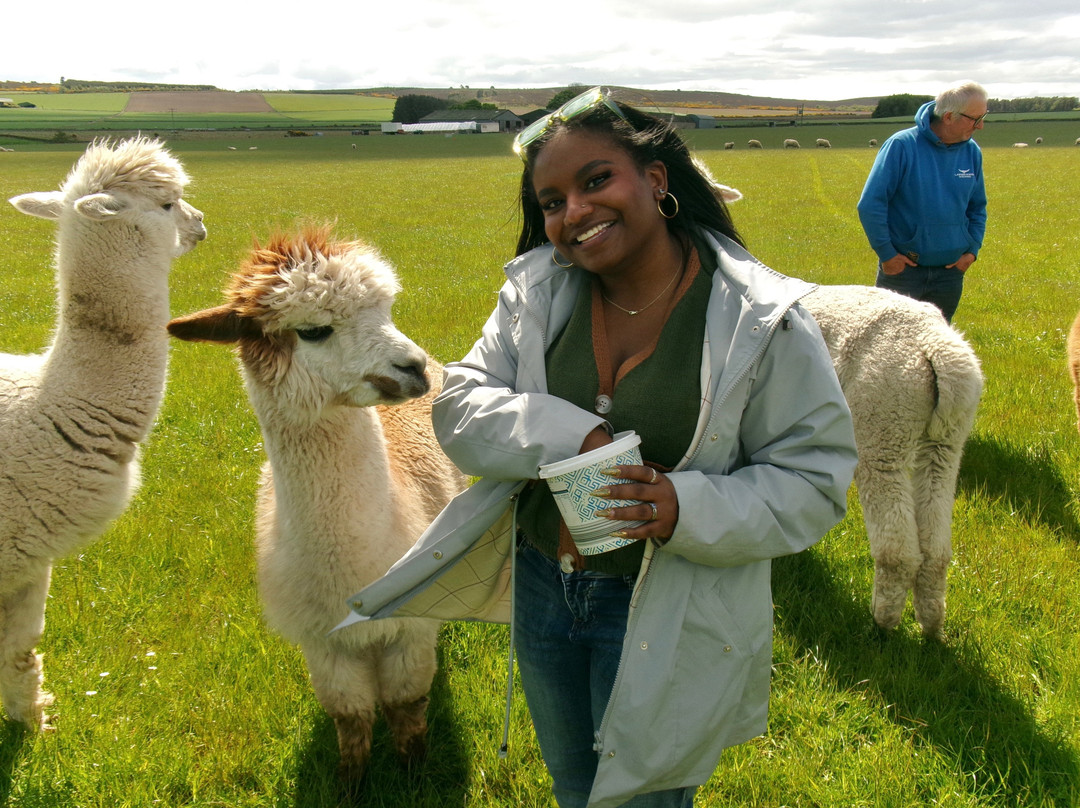 Newton Farm Holidays & Tours主图