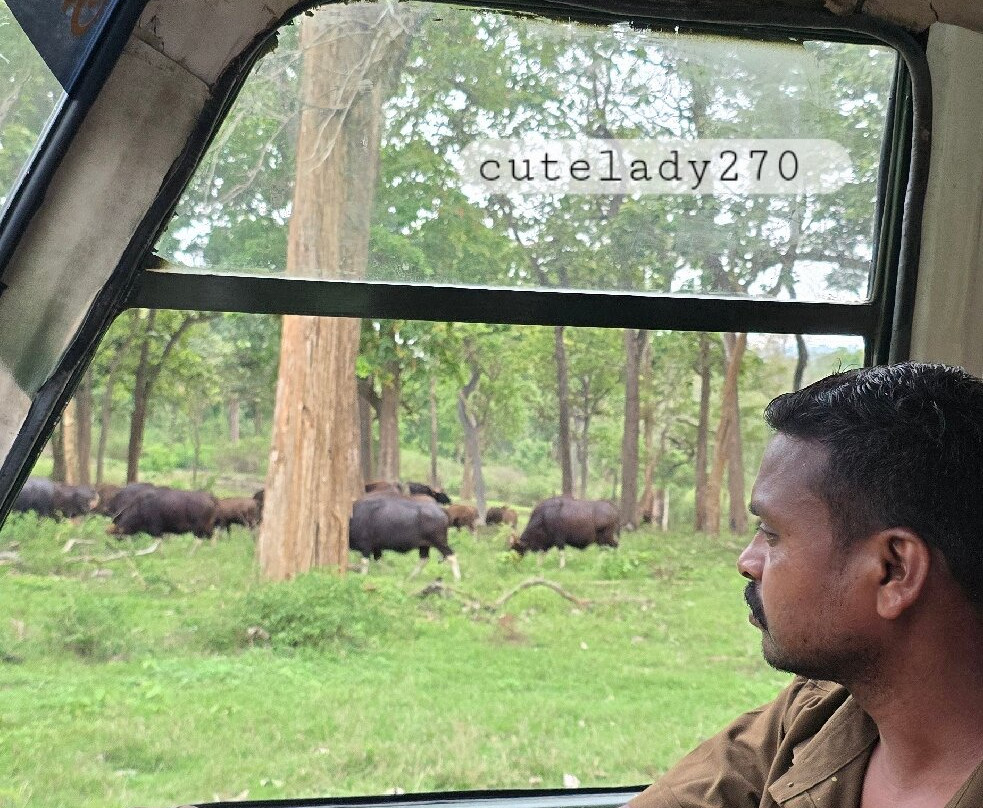 Mudumalai National Park-乌提必去景点