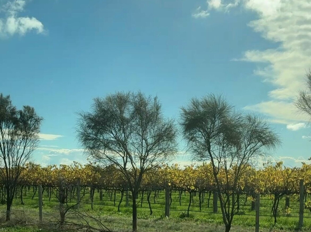 Ekhidna Wines McLaren Vale Cellar Door-麦克拉伦谷必去景点