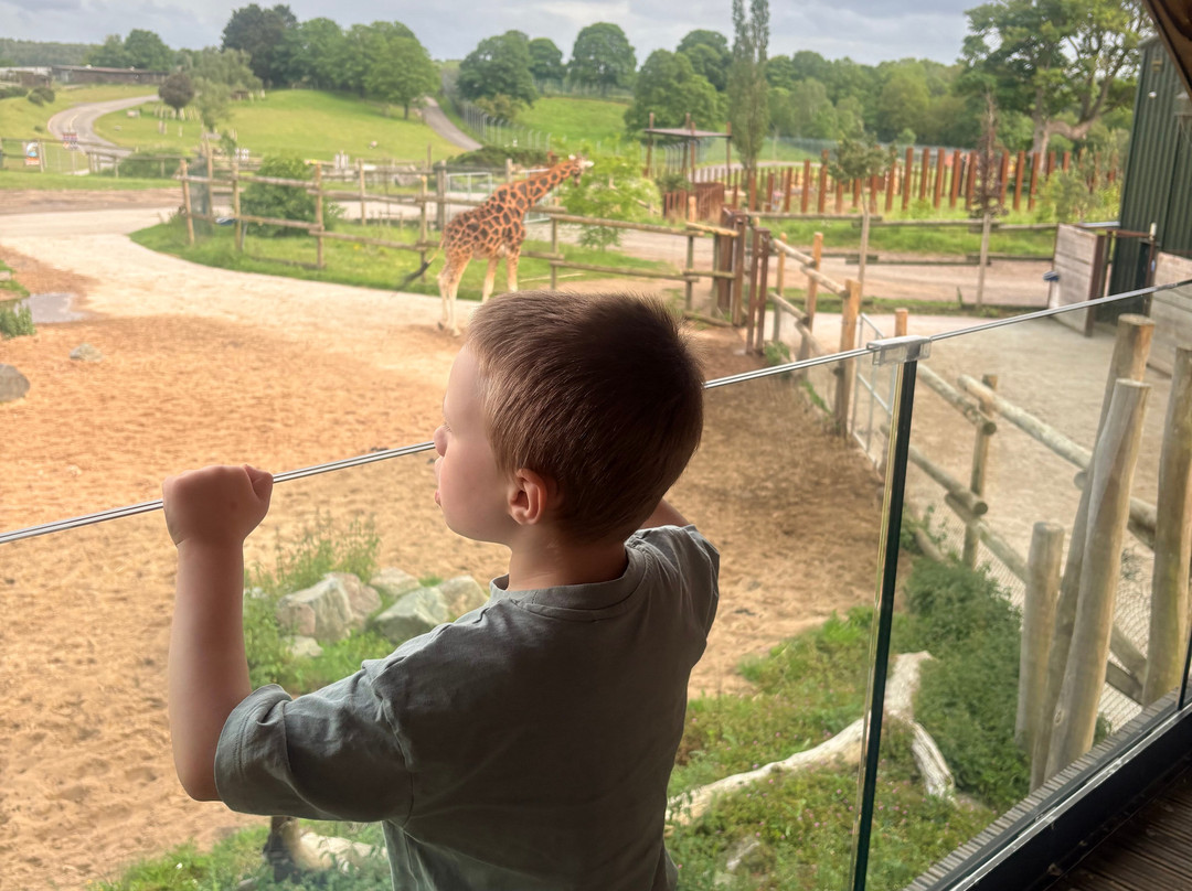 Safari Lodges At West Midlands Safari Park主图