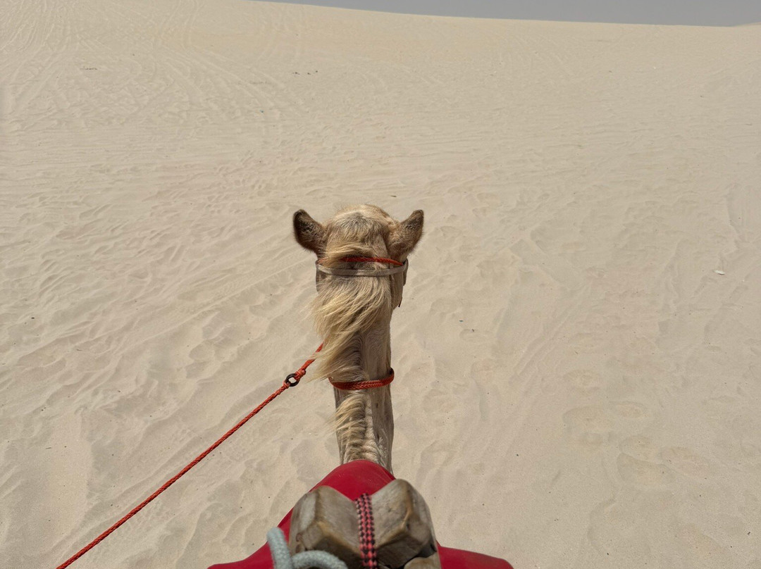 Golden Adventures Qatar-多哈必去景点