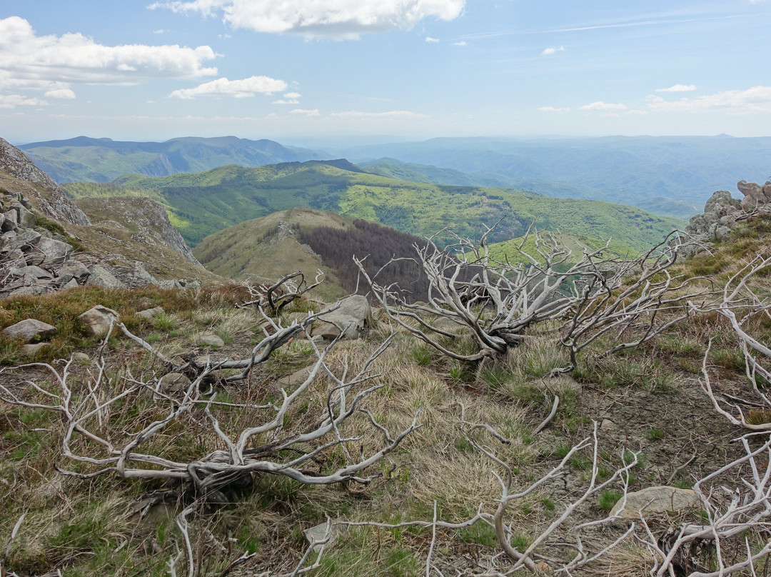 Experience Wilderness-恩斯必去景点