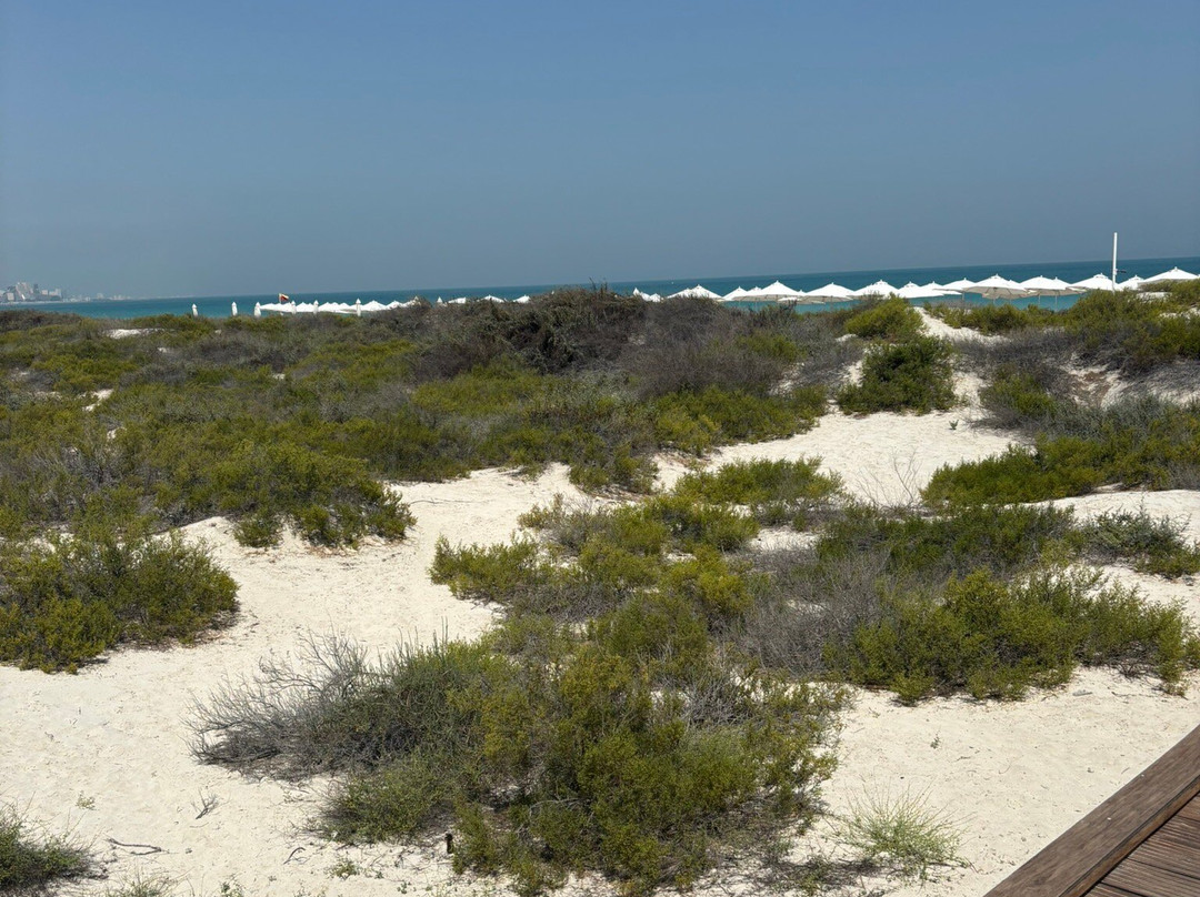 Saadiyat Beach Club-阿布扎比必去景点