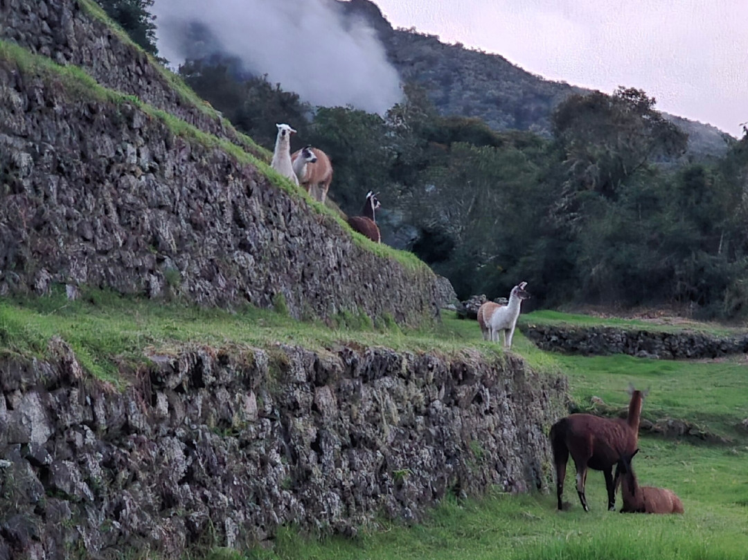 Inca Land Adventures-库斯科必去景点