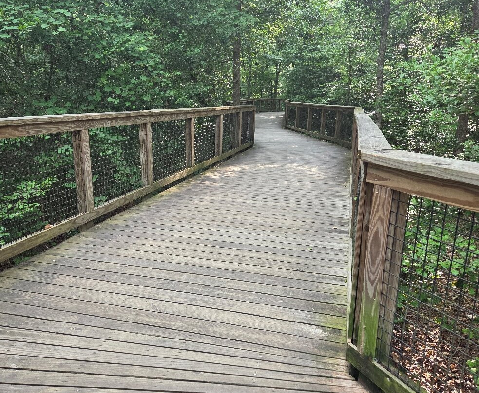 Congaree National Park-Hopkins必去景点