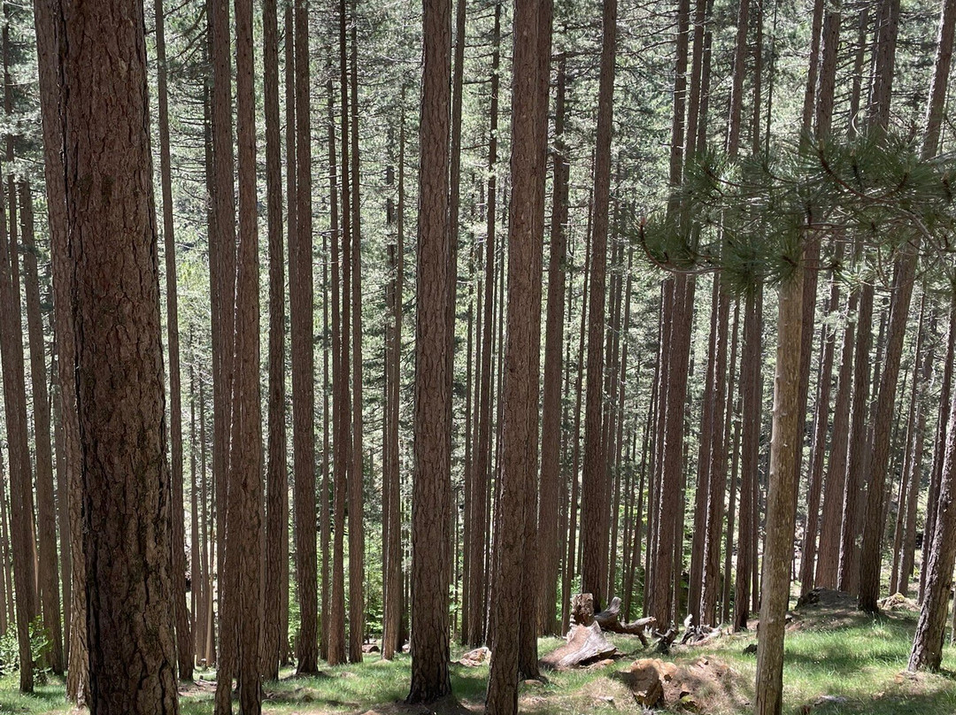 Aegean Outdoors-基菲萨必去景点