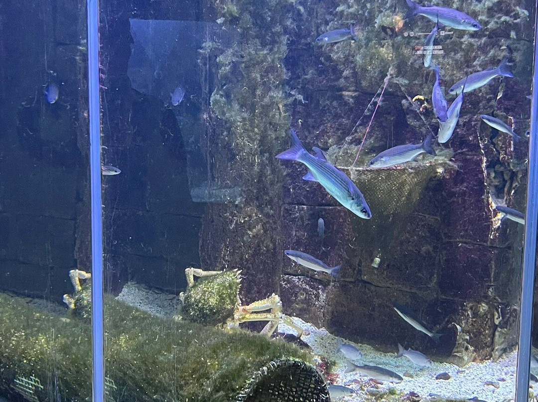 Aquarium de Biarritz-比亚里茨必去景点