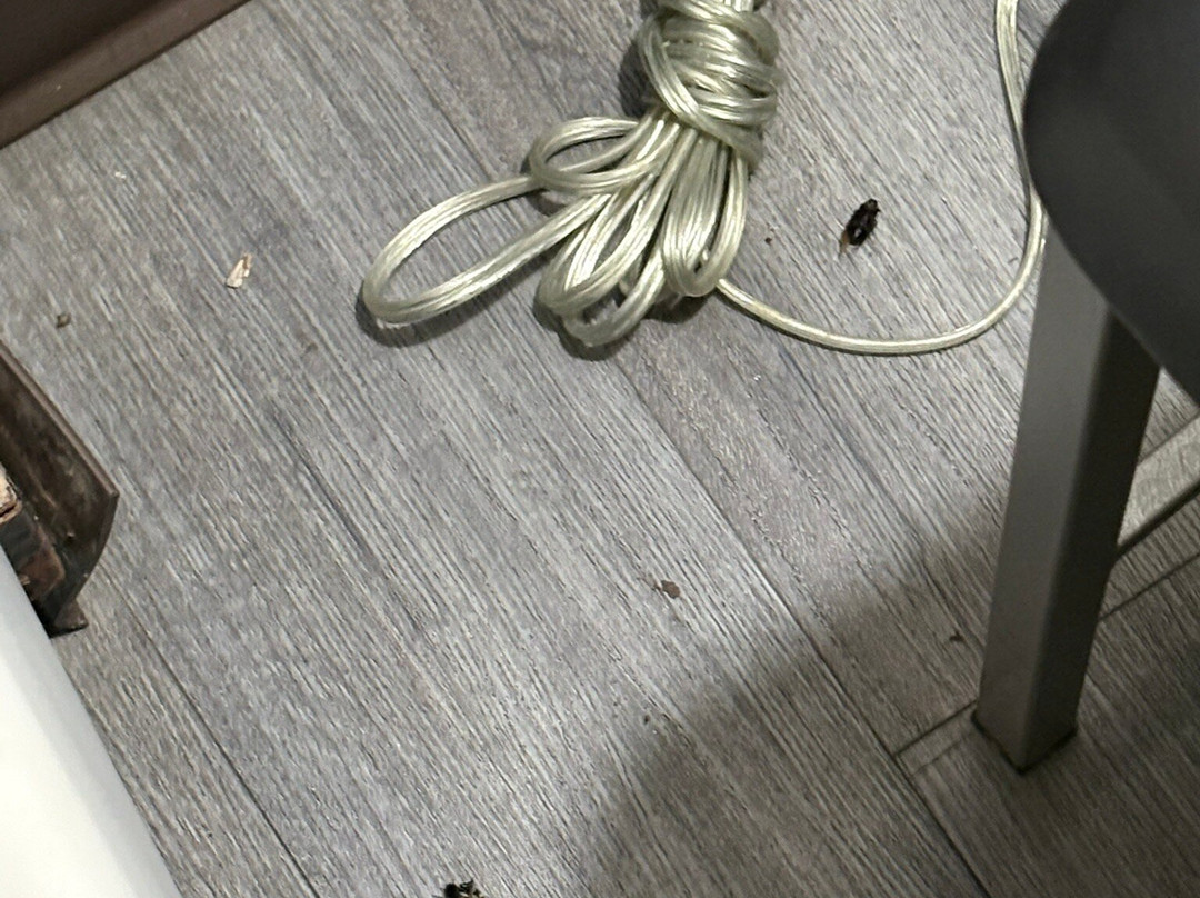 亚拉巴马州阿森斯红屋顶套房酒店主图