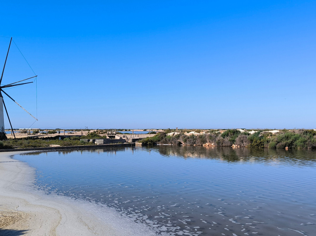 Parque Regional Salinas-San Pedro del Pinatar必去景点