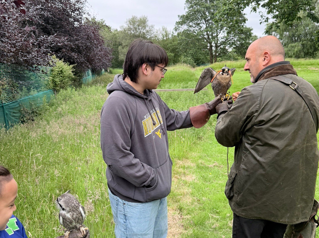 Killarney Falconry-基拉尼必去景点