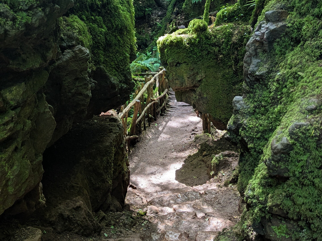 Puzzlewood-Coleford必去景点