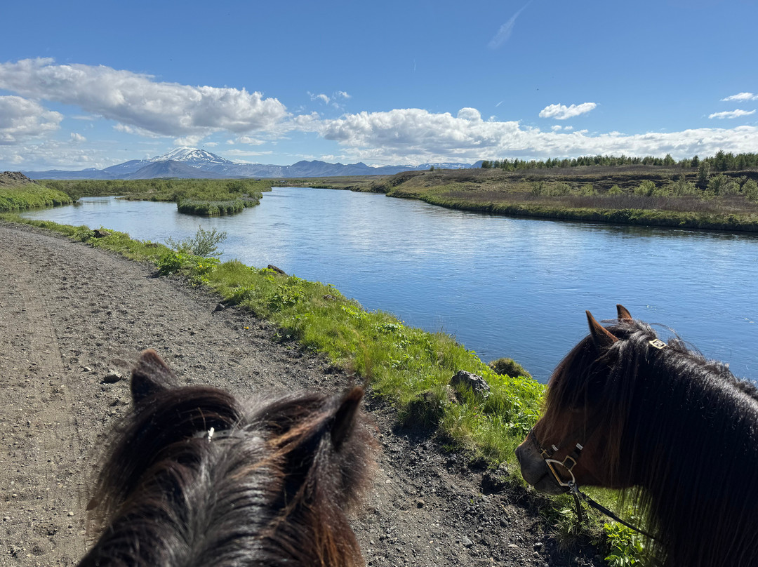 Icelandic HorseWorld-海拉必去景点