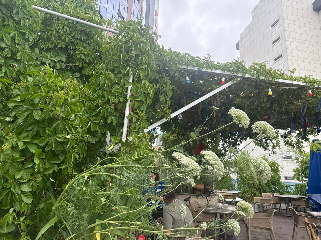 科尼亚温德姆华美达广场酒店主图
